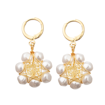 Pendientes de agua dulce tallados rojos de la perla de las cuentas de cristal de la flor blanca fijados para las mujeres